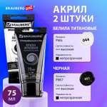 Краски акриловые Brauberg набор художественные белые черные глянцевые 2 штуки в тюбиках