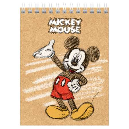 Блокнот Hatber Микки Маус Disney А6 Клетка 40л в ассортименте 057578