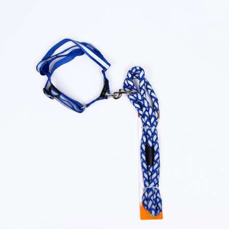 Комплект для собаки Пижон «Плетенка» флюорисцентный поводок 115 х 1 см и шлейка 32-48 см синий