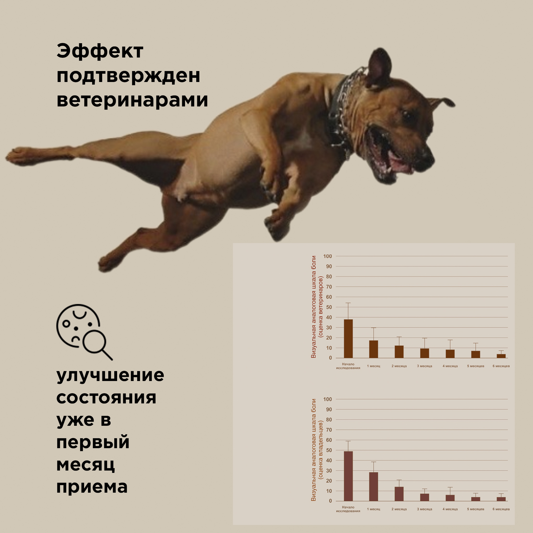 Лакомство для собак PETS BIN Bones and Joints для суставов и связок с коллагеном 2 типа 70 г - фото 9