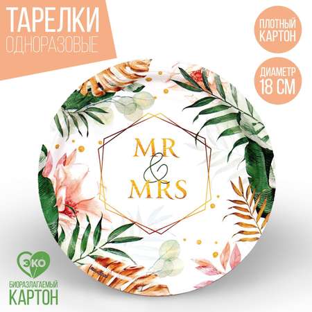 Тарелка Страна карнавалия бумажная MR и MRS набор 6 шт 18 см