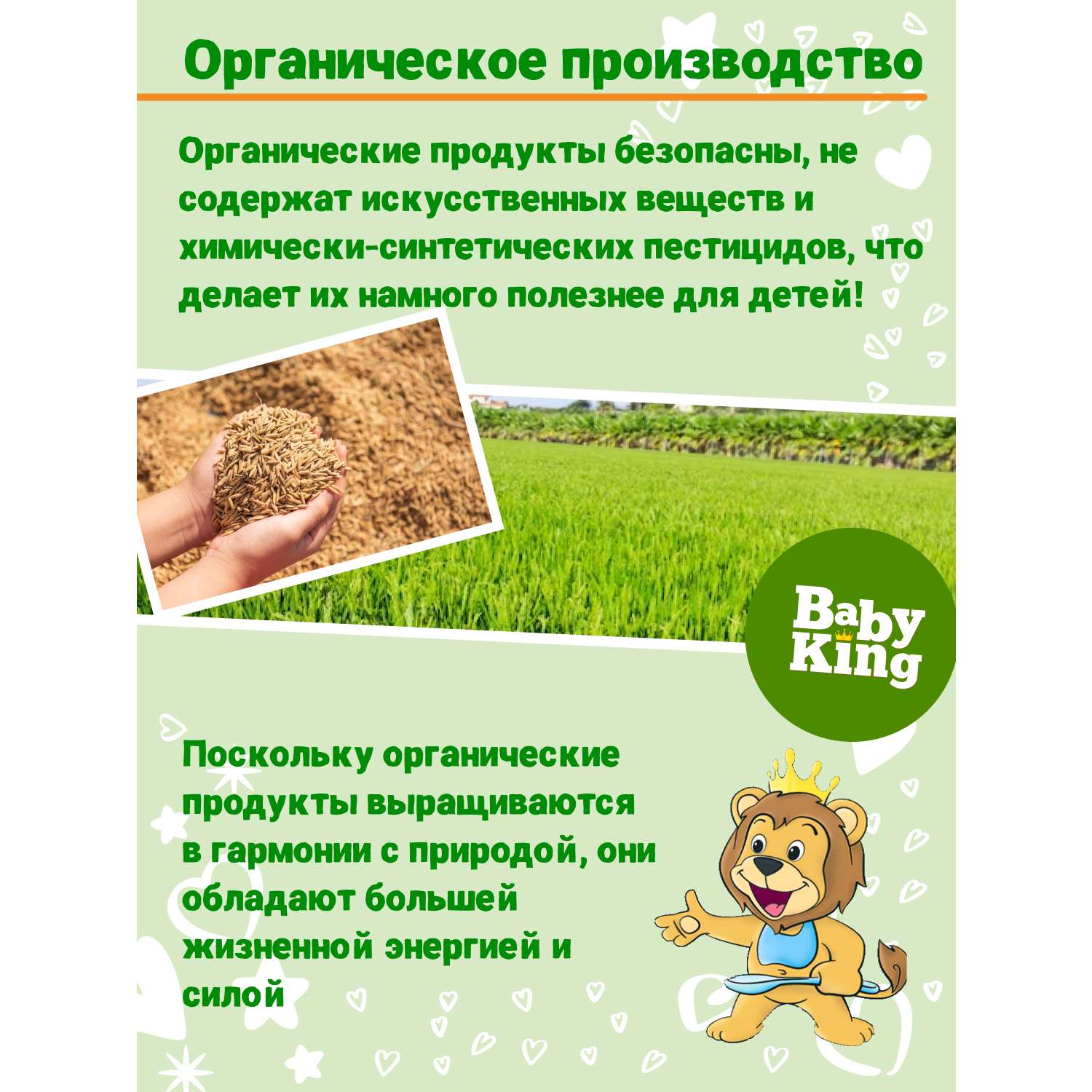 Каша детская Baby King Organic безмолочная пшеничная с яблоком 175гр с 6 месяцев - фото 6