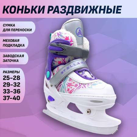 Раздвижные коньки Alpha Caprice Stellary Violet с мехом M 33-36