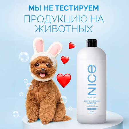 Шампунь для волос NICE by Septivit глубокой очистки 1000мл