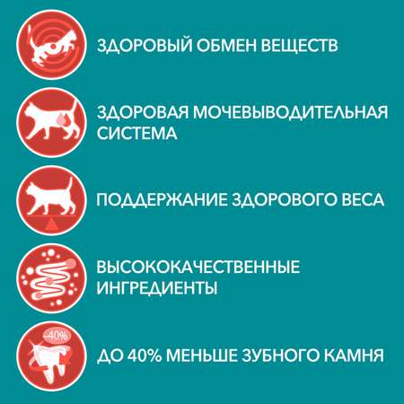 Корм для кошек Purina One стерилизованных курица-зеленая фасоль 75г