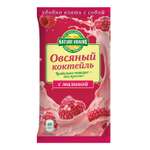 Коктейль Nature grains овсяный с малиной 25г