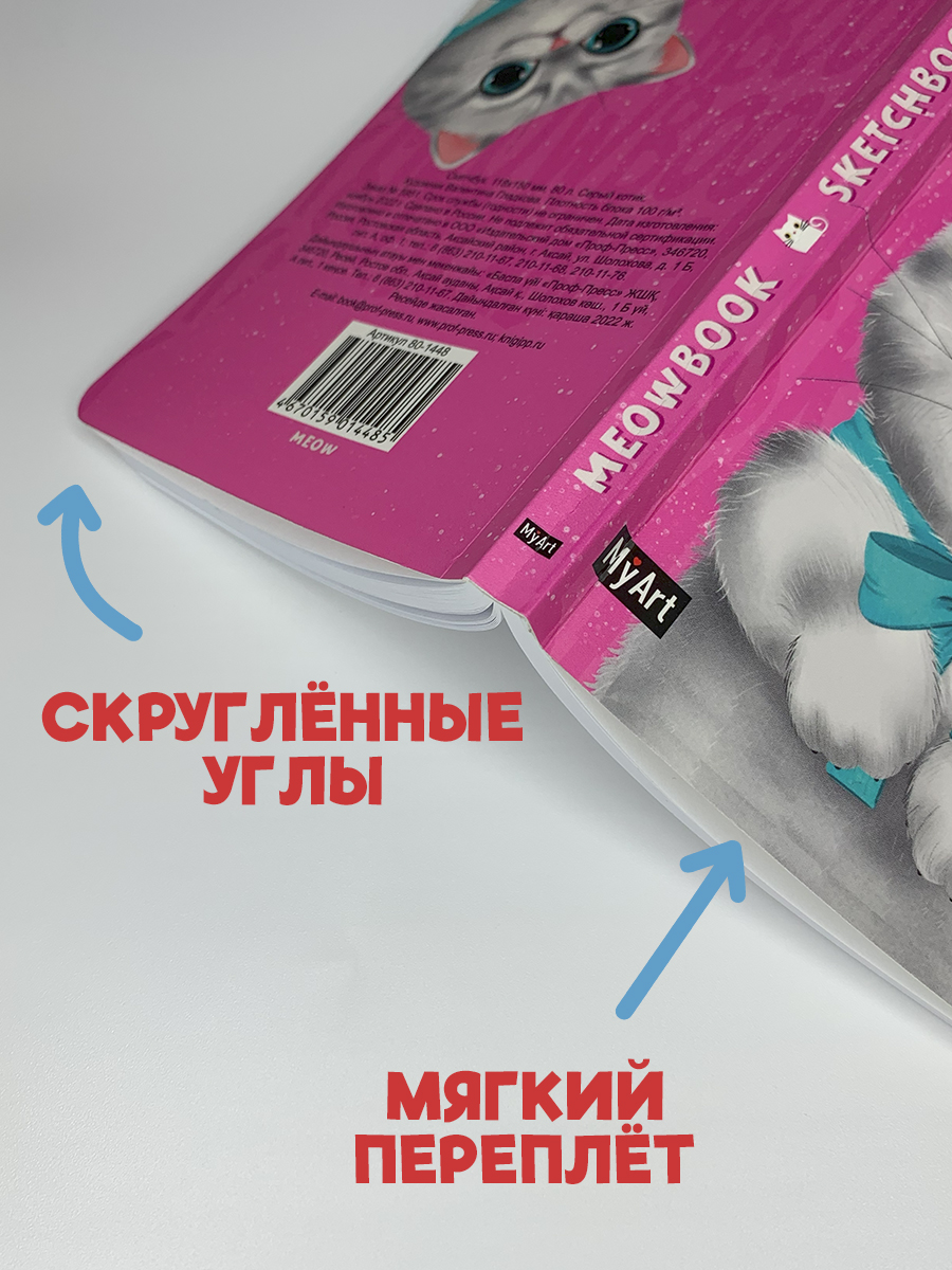 Блокнот-скетчбук Проф-Пресс Meowbook Серый котик - фото 4