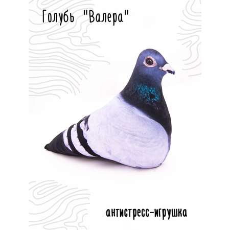 Мягкая игрушка Мягонько голубь Валера 25x35 см