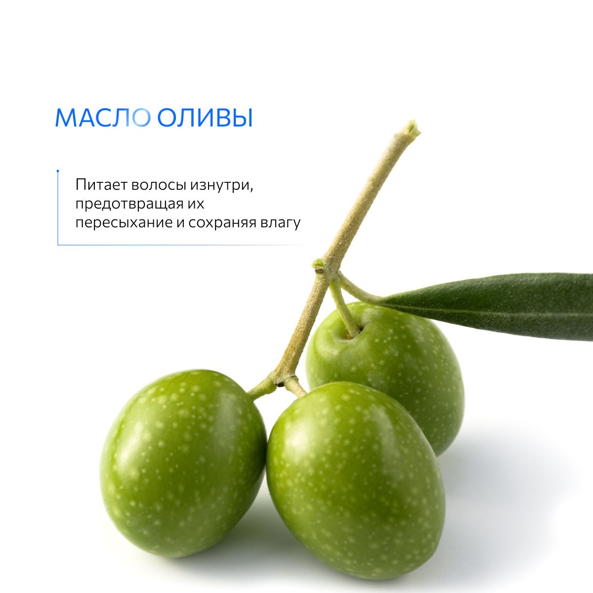 Шампунь Ollin Tres Oil Perfect Hair 400 мл - фото 6