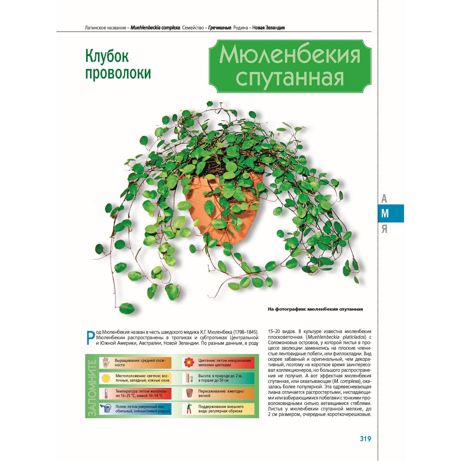 Книга Харвест Самая полная энциклопедия комнатных растений - фото 8