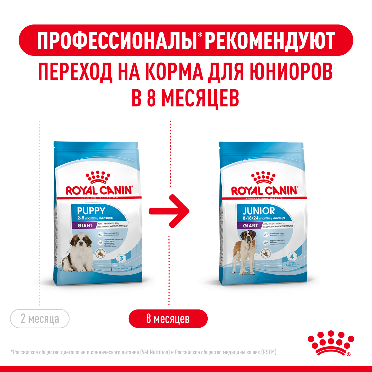 Корм для щенков ROYAL CANIN гигантских пород 2-8месяцев 3.5кг - фото 10