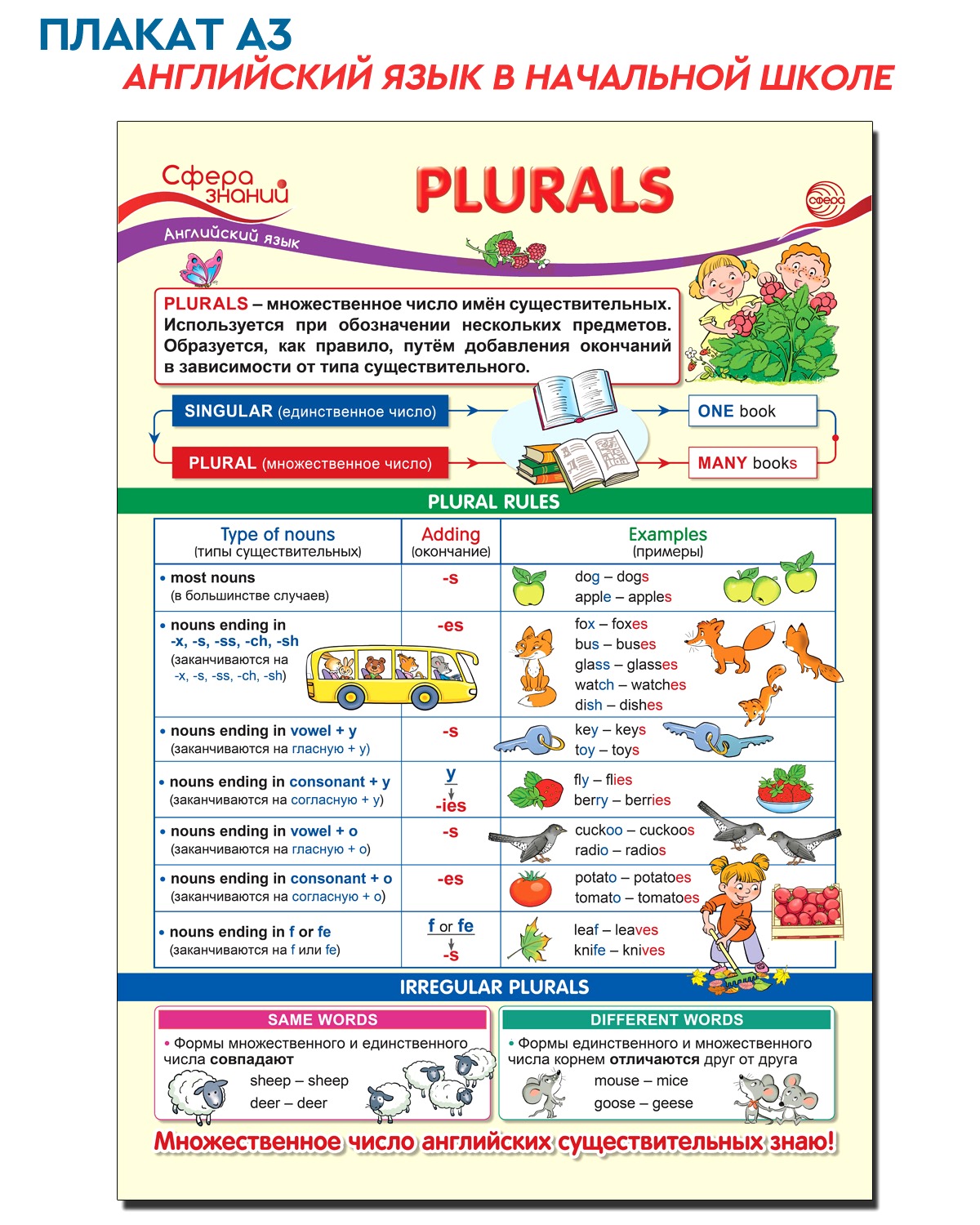 Плакат ТЦ Сфера по Английскому языку в начальной школе купить по цене 135 ₽  в интернет-магазине Детский мир