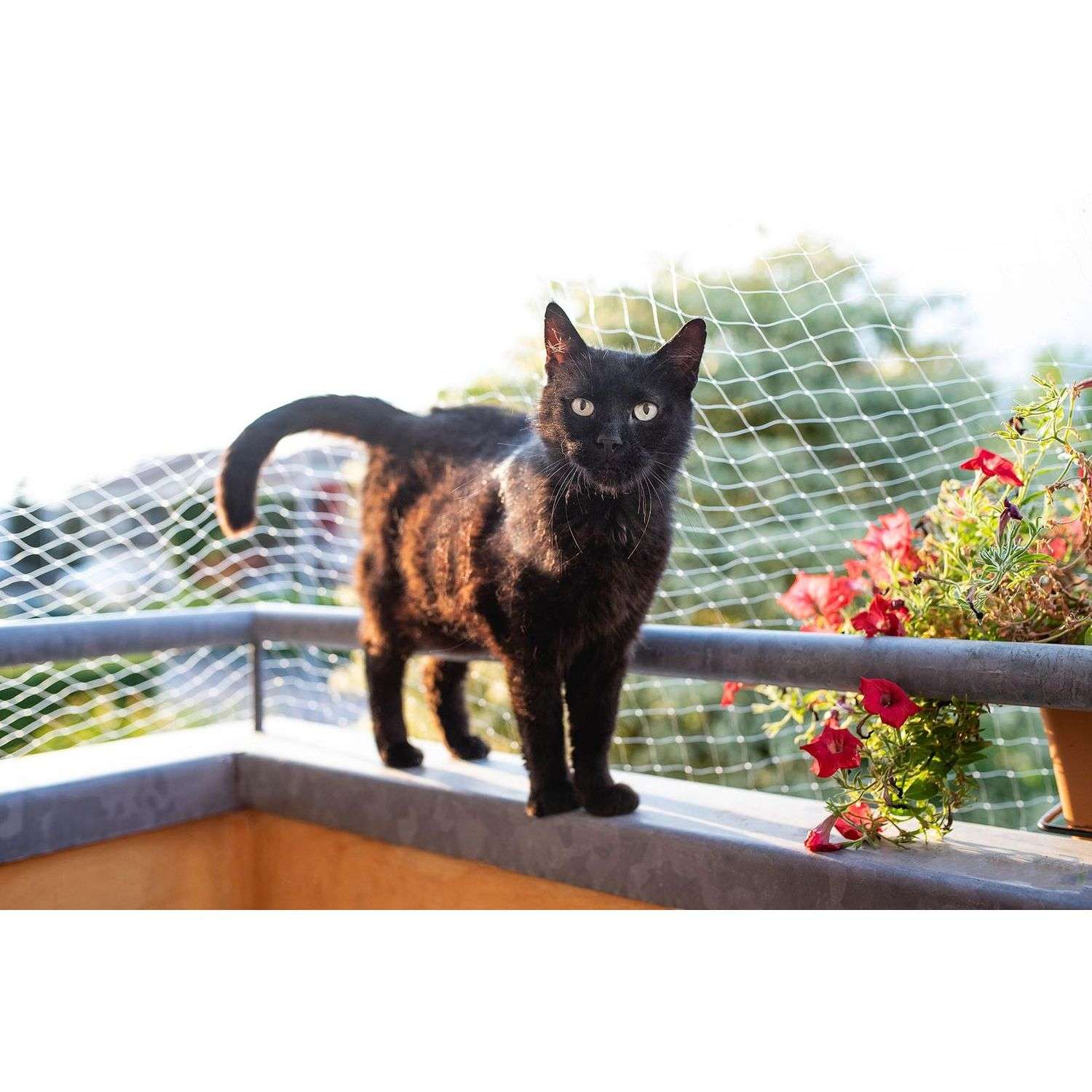 Сетка для кошек Ferplast Cat net S защитная на балкон 85182400 - фото 10