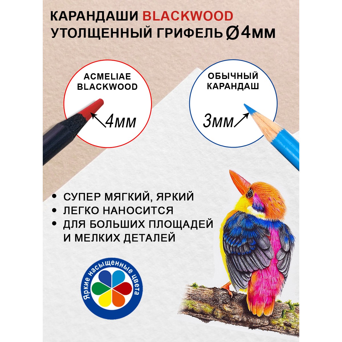 Набор цветных карандашей ACMELIAE Blackwood Artmate 48 цветов в картонном футляре - фото 3