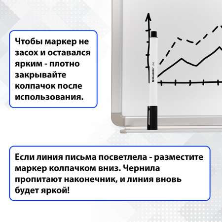 Маркеры Brauberg для магнитной белой доски стирающиеся черные 12 цветов