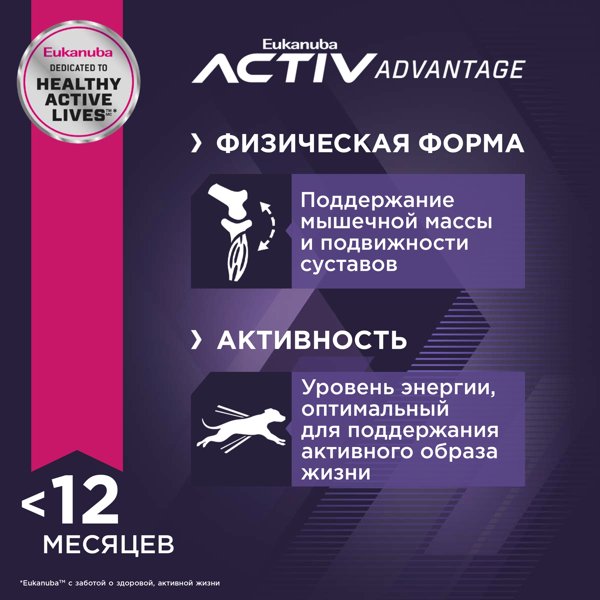 Сухой корм для собак Eukanuba 12 кг ягненок (полнорационный) - фото 4