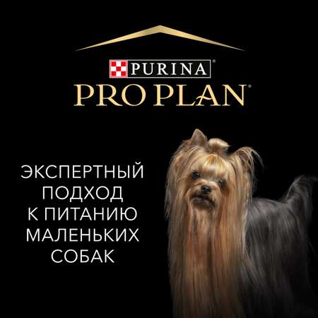 Корм для собак Pro Plan 85г мелкие и карликовые породы с говядиной 5шт и курицей 5шт