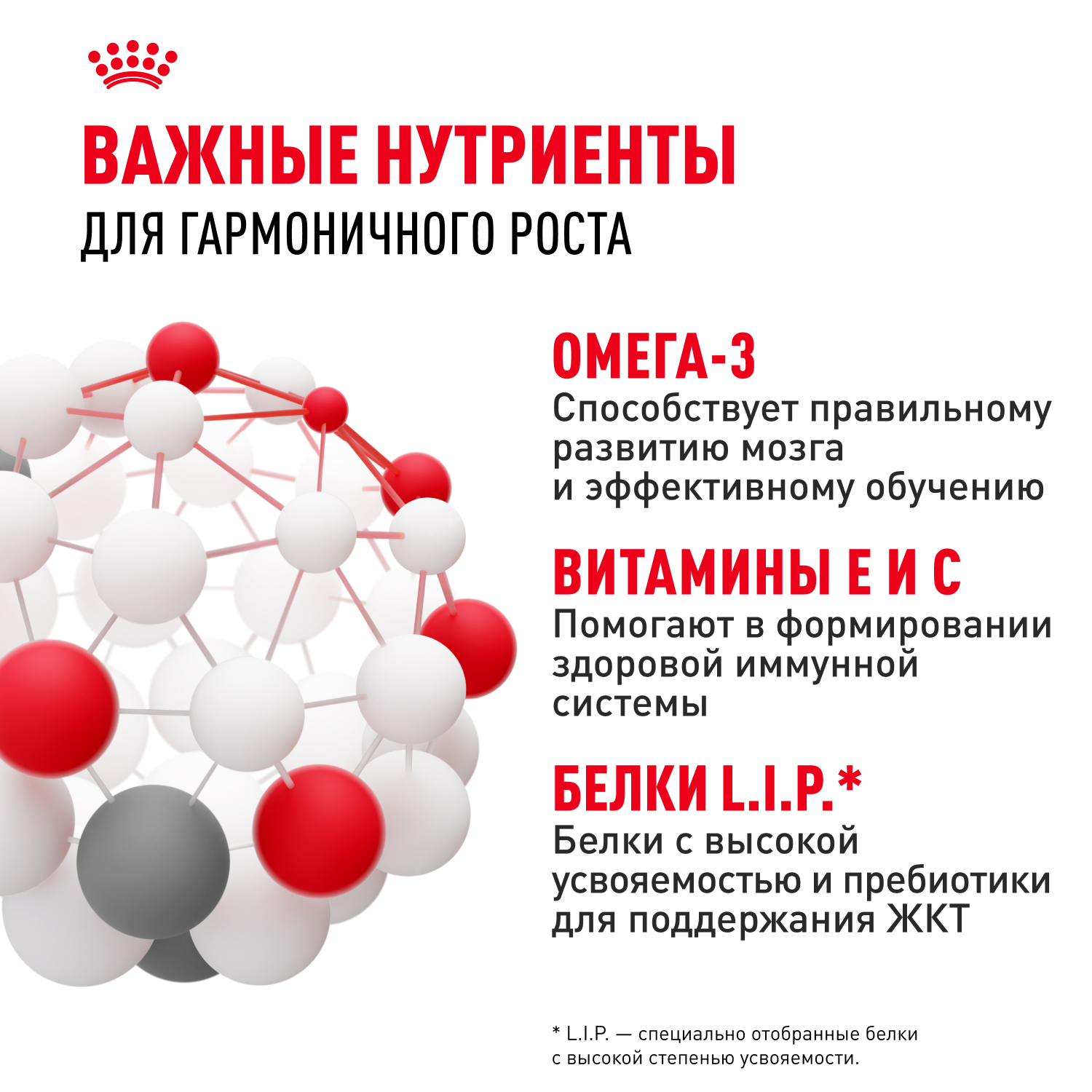 Корм для щенков ROYAL CANIN средних пород 2-12 месяцев 3кг - фото 5