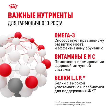 Корм для щенков ROYAL CANIN средних пород 2-12 месяцев 3кг