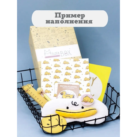 Подарочный бокс для девочки iLikeGift Milota Box mini утенок