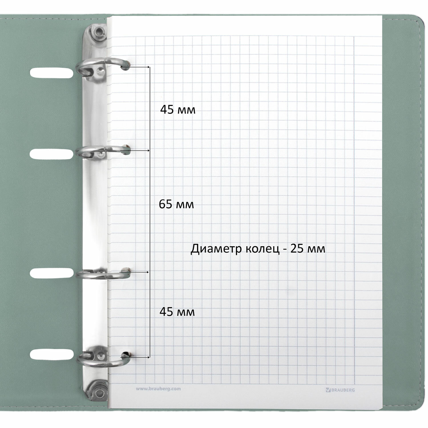 Тетрадь на кольцах Brauberg со сменным блоком А5 120 листов Joy бирюзовый - фото 4