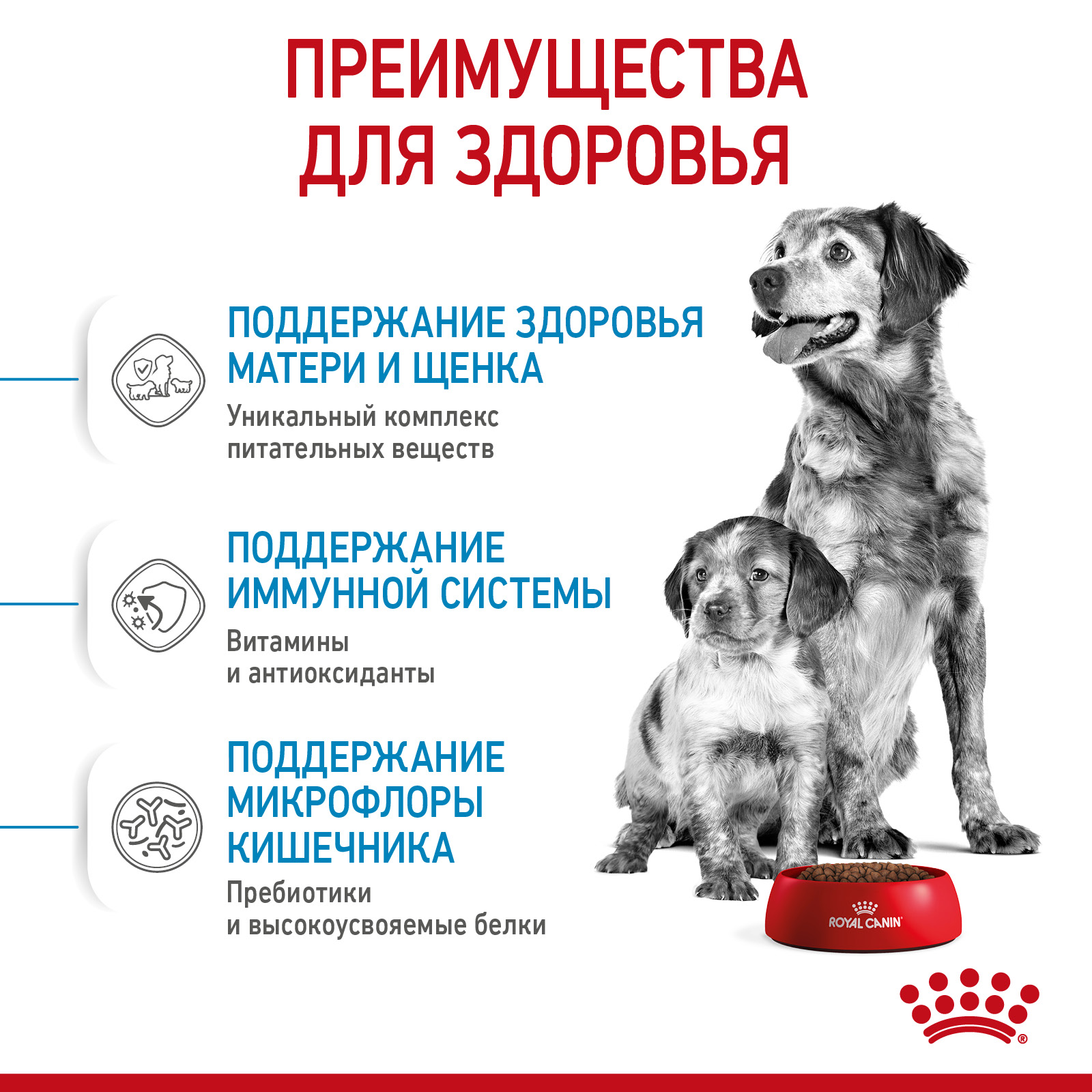 Сухой корм для собак ROYAL CANIN 4 кг (для беременных и кормящих, полнорационный) - фото 3