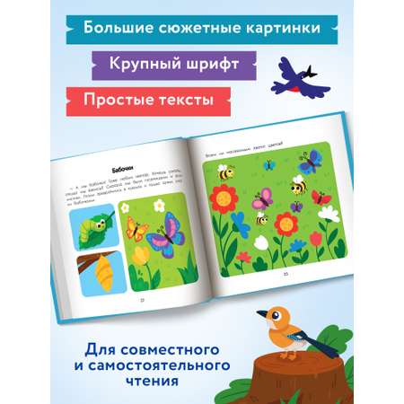 Книга Феникс Премьер Лес. Энциклопедия для малышей в картинках