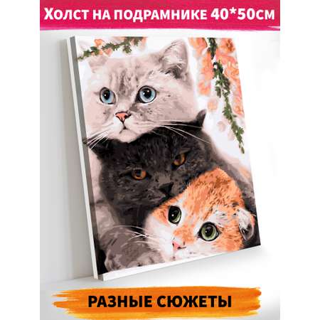 Картина по номерам Hobby Paint Три нежных кота 40*50