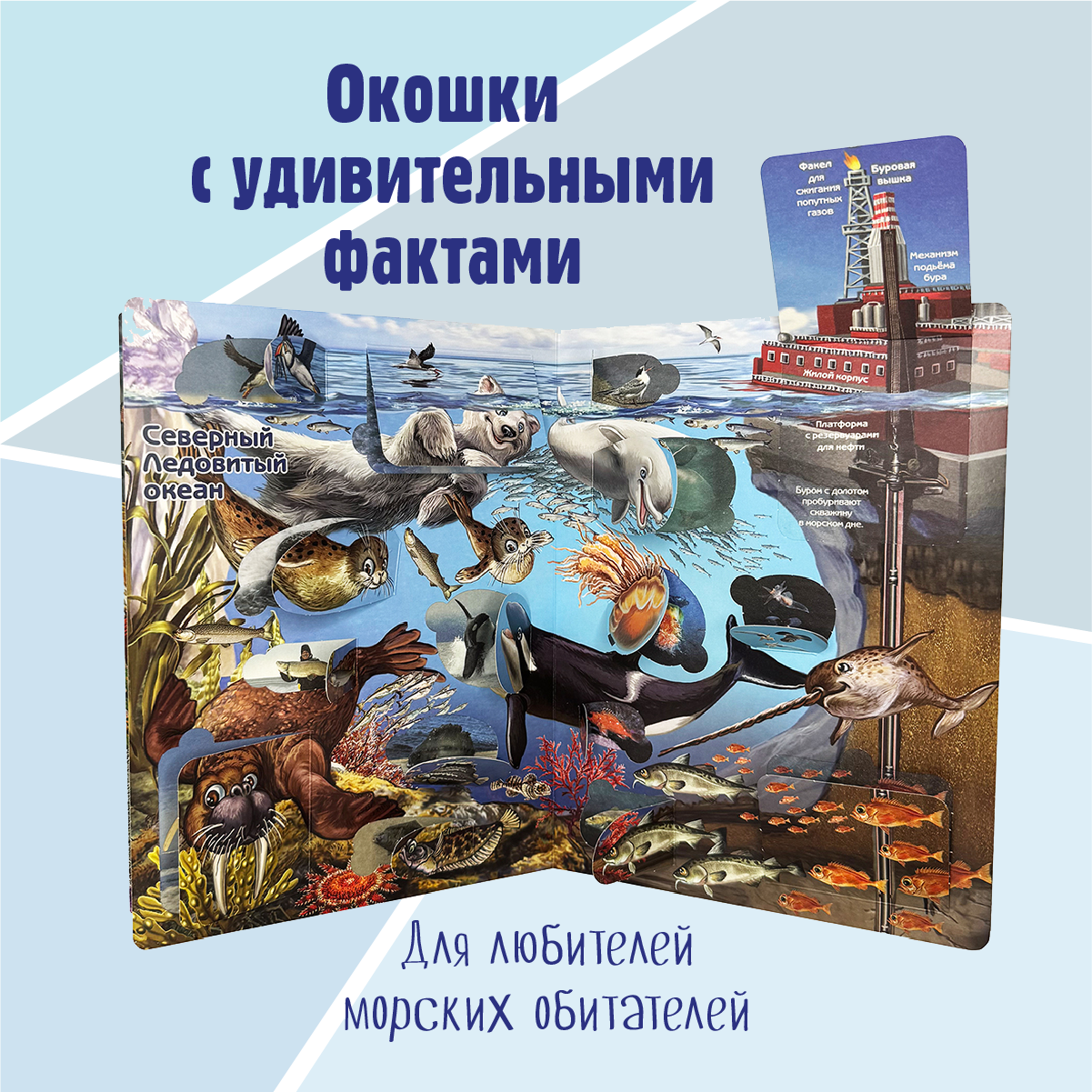 Энциклопедия с окошками BimBiMon книга детская - фото 2