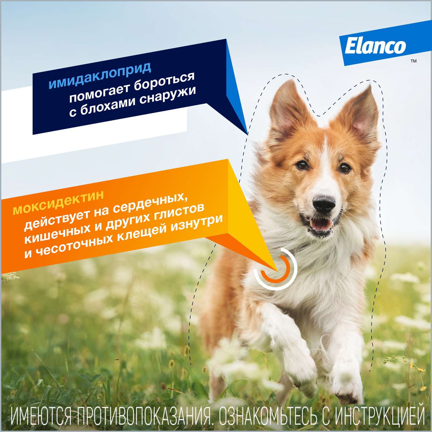 Препарат инсектоакарицидный для собак Elanco Адвокат 0.4мл 3пипетки - фото 4