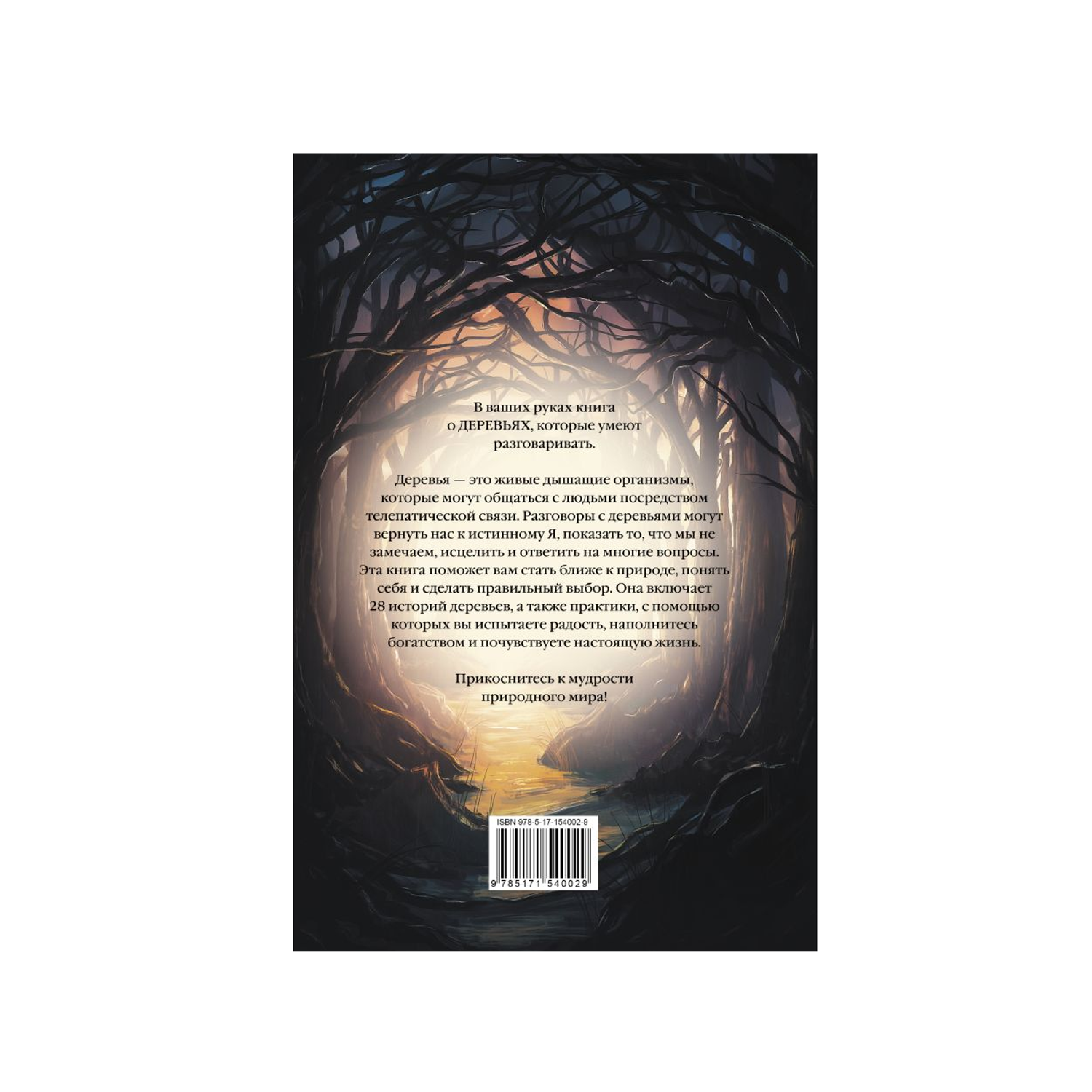 Книга АСТ Магия леса. Секреты общения с деревьями - фото 2