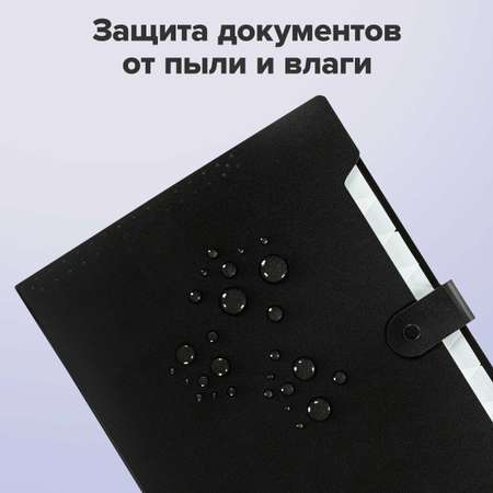 Папка-органайзер Brauberg А4