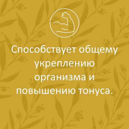 Сироп имбирный ФИТА-ВИТА-МИКС с лимоном и витамином С 290 мл