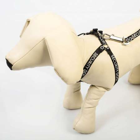 Комплект для собаки Пушистое счастье Security dog шлейка 28-47 см поводок 120 см