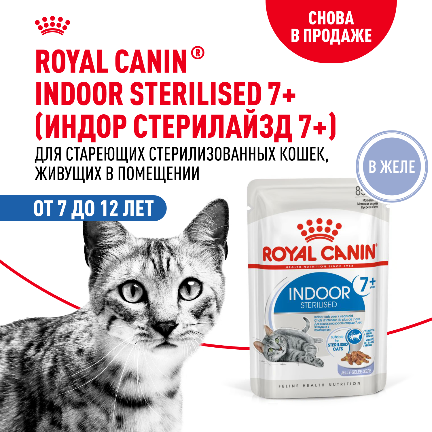 Корм для кошек ROYAL CANIN Indoor 85г для пожилых стерилизованных кошек 7+ желе пауч - фото 1