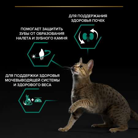 Корм сухой для кошек PRO PLAN 1.5кг с лососем при стерилизации и кастрации
