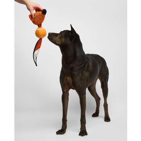 Игрушка для собак Barbaks Лиса с теннисным мячиком шуршит пищит 43*15 см