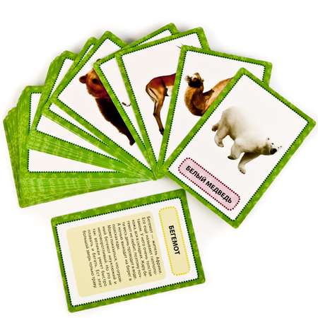 Карточки развивающие УМка Животные мира 36 карточек 234908