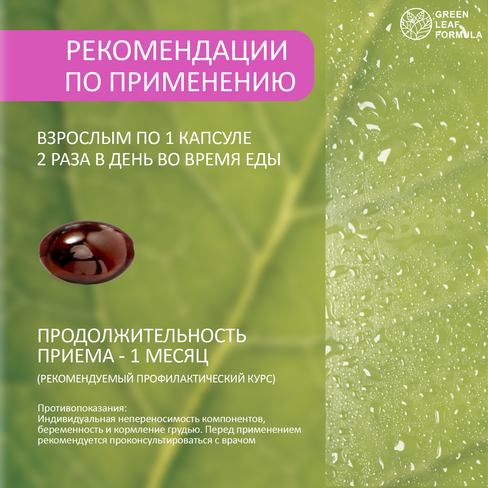 Эхинацея и Метабиотик Green Leaf Formula витамины для кишечника и иммунитета от гриппа и простуды 90 капсул - фото 8