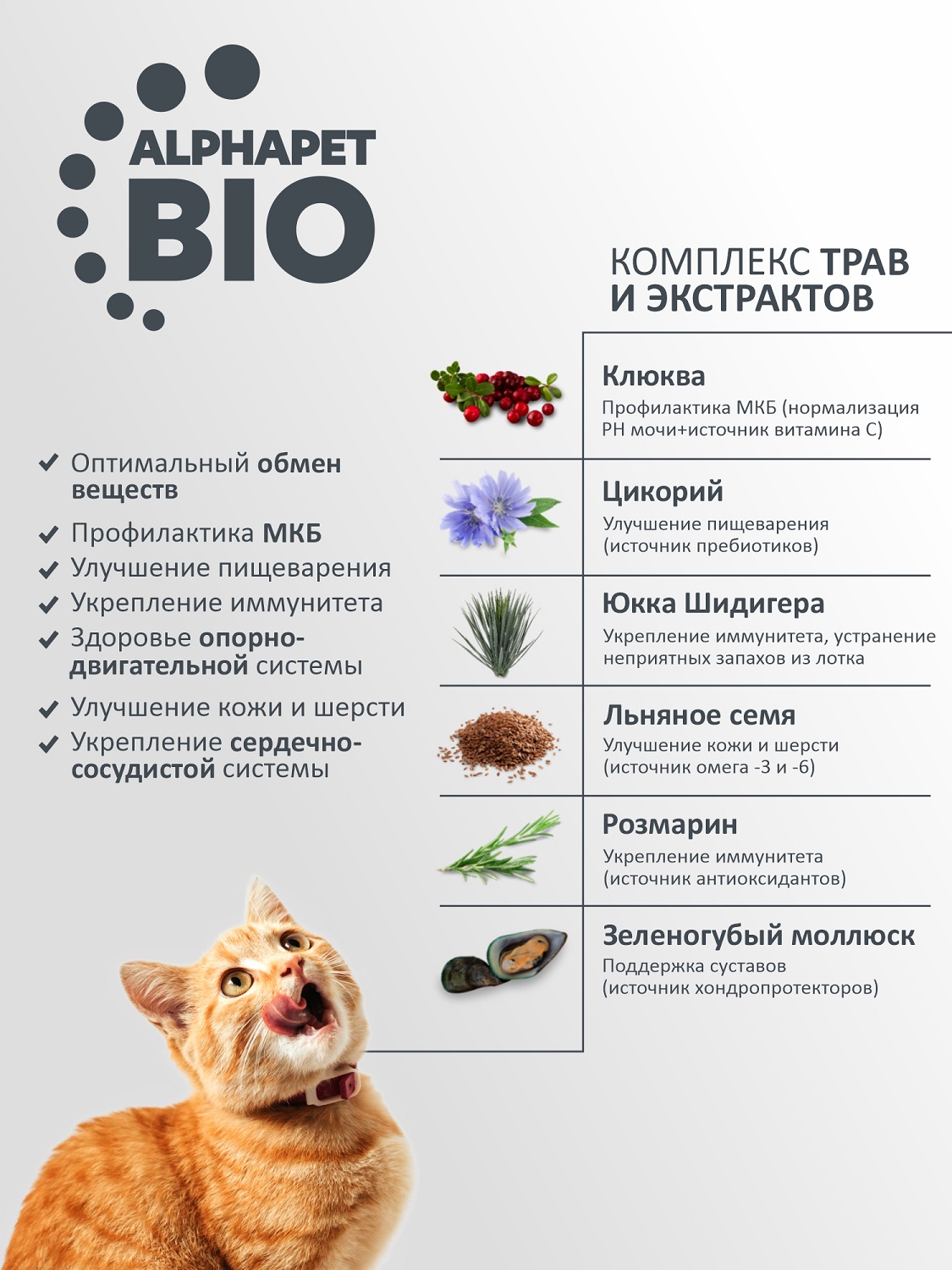 Корм для кошек и котов Alphapet 400г Superpremium Sterilised стерилизованных ягненок-индейка - фото 5