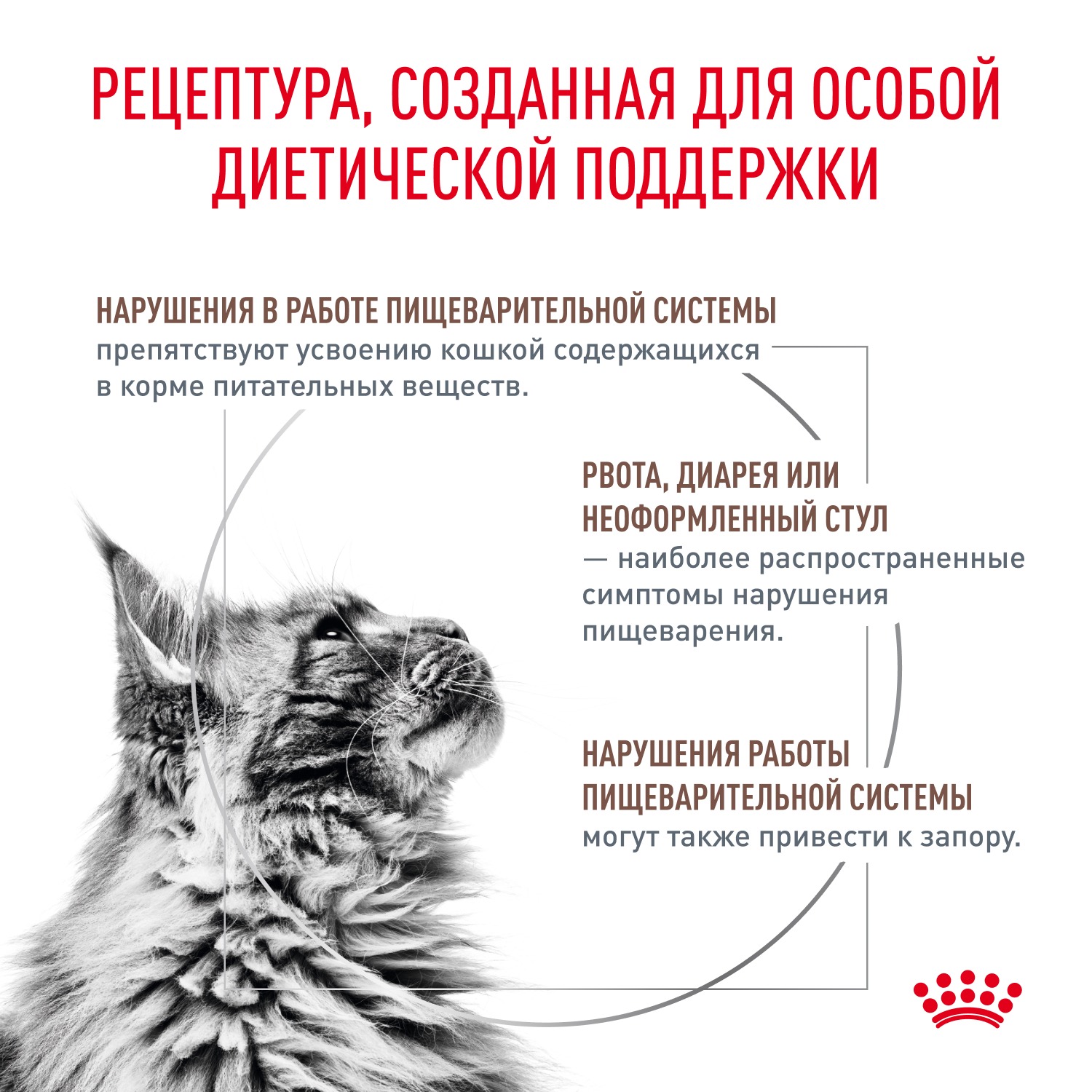 Сухой корм для кошек ROYAL CANIN 0.35 кг (при чувствительном пищеварении, лечебный) - фото 2