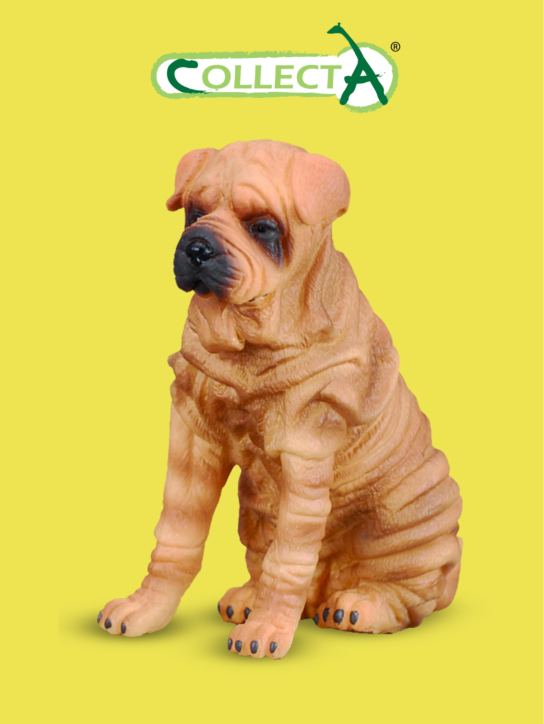 COLLECTA Shar Pei Figure