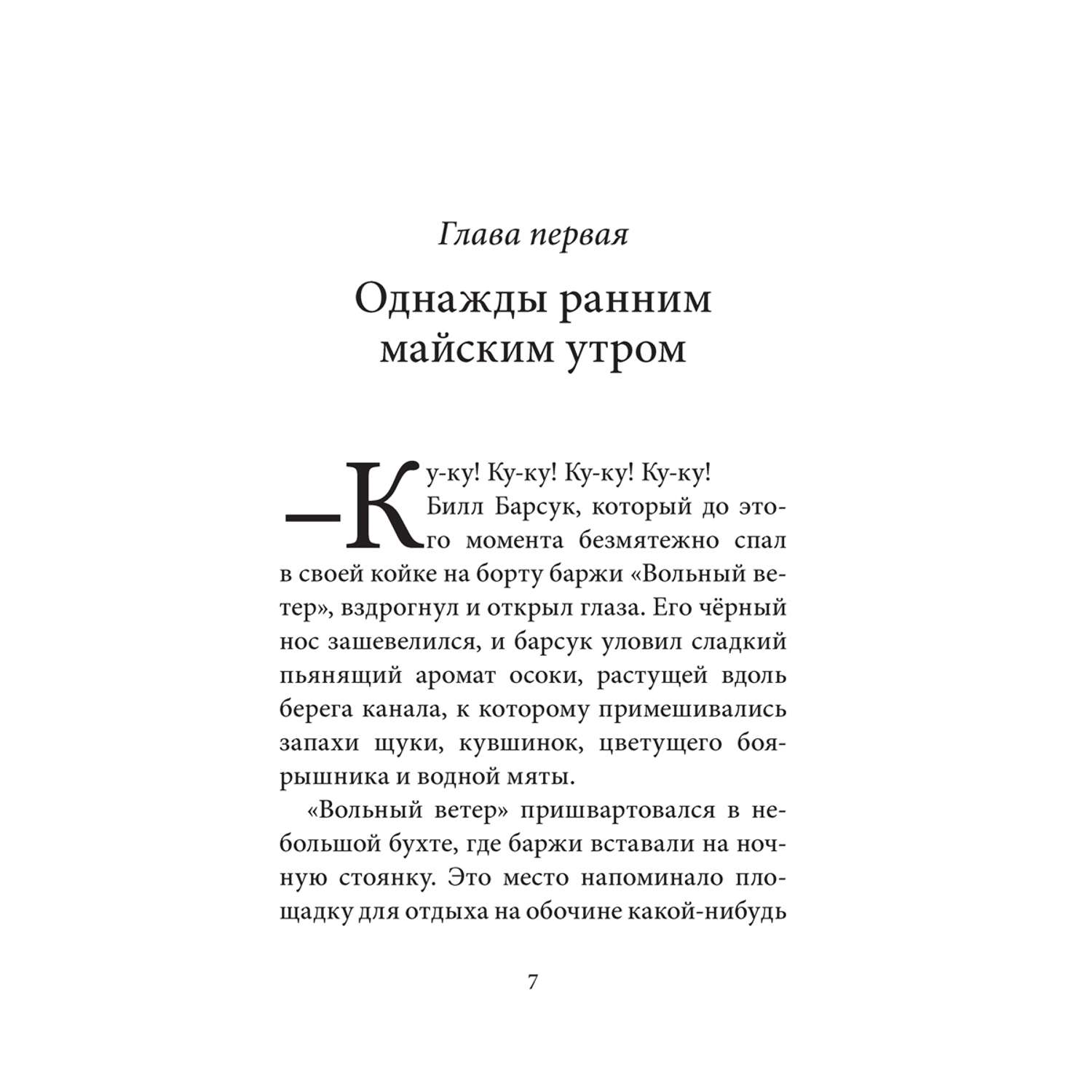 Комплект из 5-ти книг/ Добрая книга / Билл Барсук 1+2+3+ Гномы Боландского леса+ Волшебник - фото 33