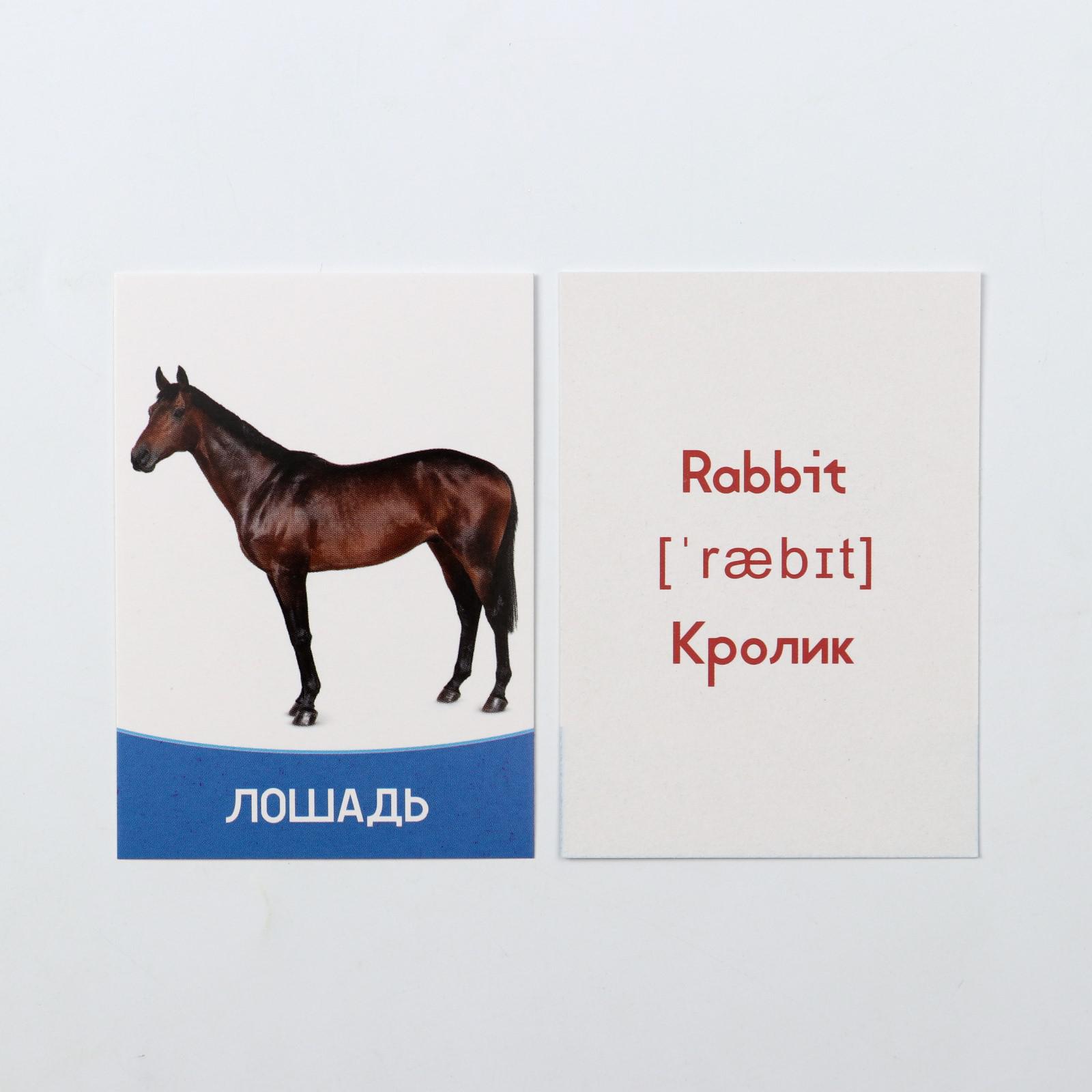 Настольная игра Лас Играс - фото 4