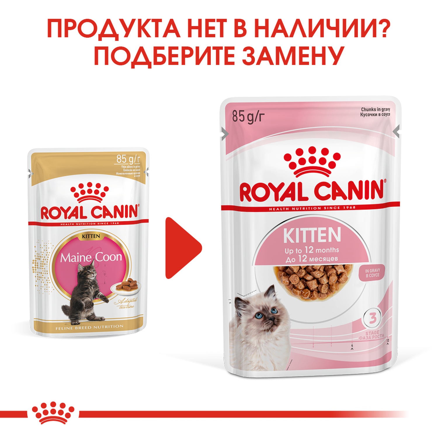 Влажный корм для кошек ROYAL CANIN Kitten 0.085 кг (полнорационный) - фото 4