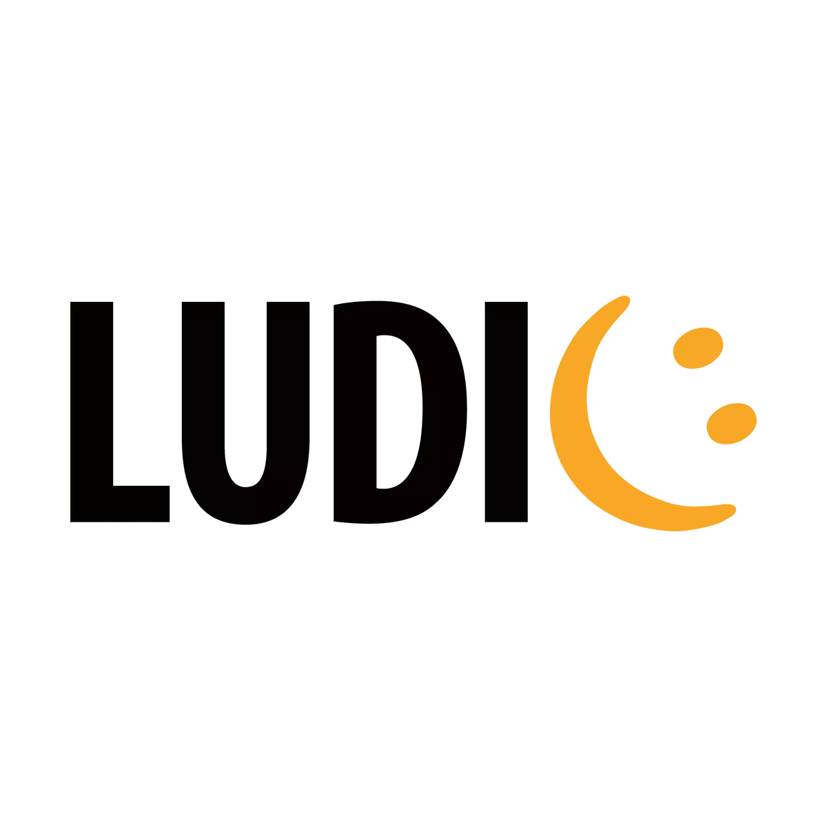 Настольная игра LUDIC вам слово - фото 4