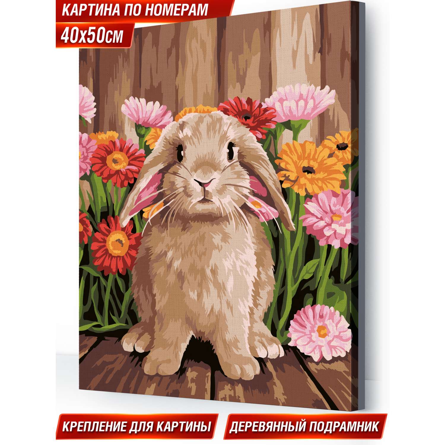Картина по номерам Hobby Paint холст на деревянном подрамнике 40х50 см Милый кролик - фото 1