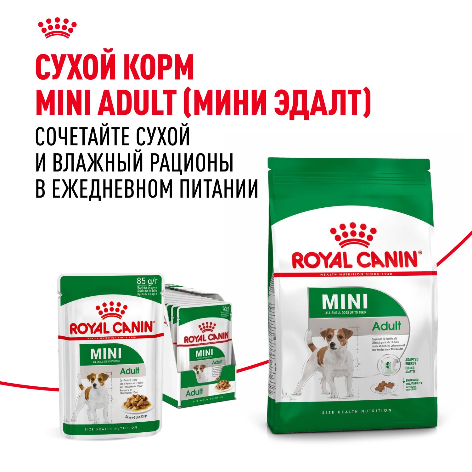 Корм для собак ROYAL CANIN Adult мелких размеров от 10 месяцев кусочки в соусе пауч 85г - фото 9