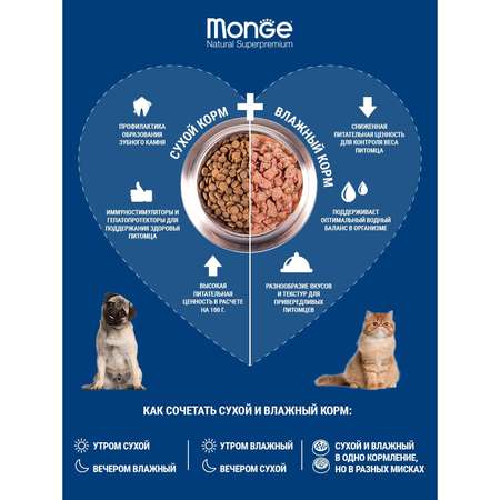 Корм для кошек Monge 10кг Cat PFB Daily Line Urinary для профилактики МКБ