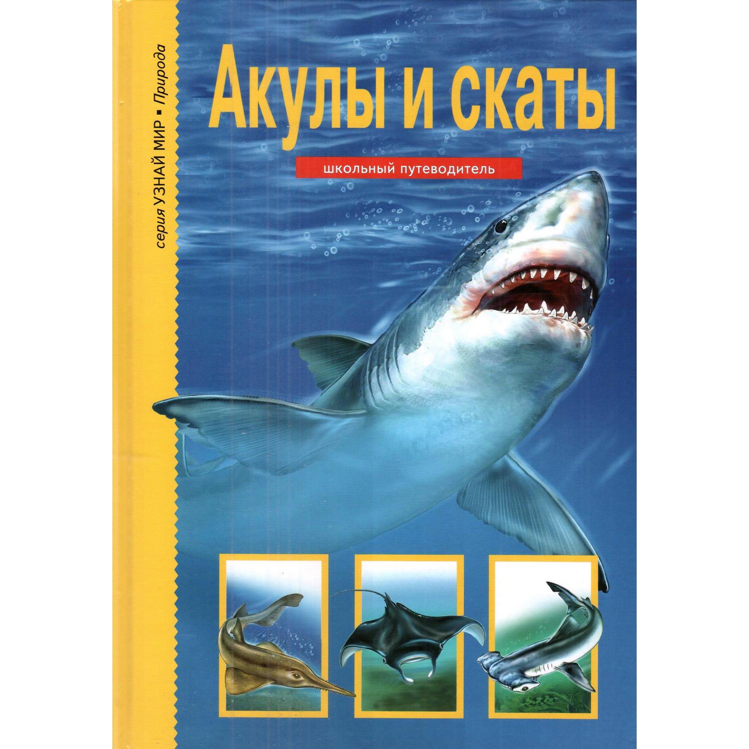 Книга Лада Акулы и скаты Школьный путеводитель купить по цене 364 ₽ в  интернет-магазине Детский мир